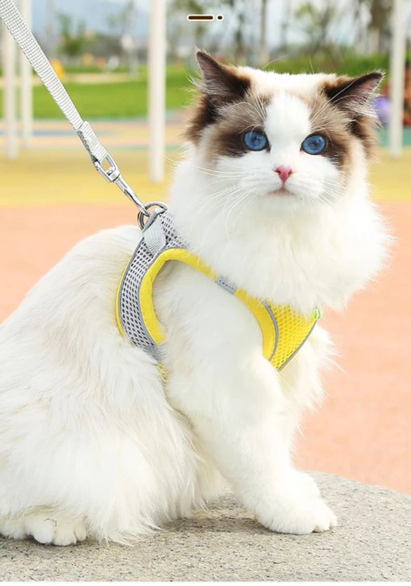 Cat Harness With Leash - EasyDailyLife