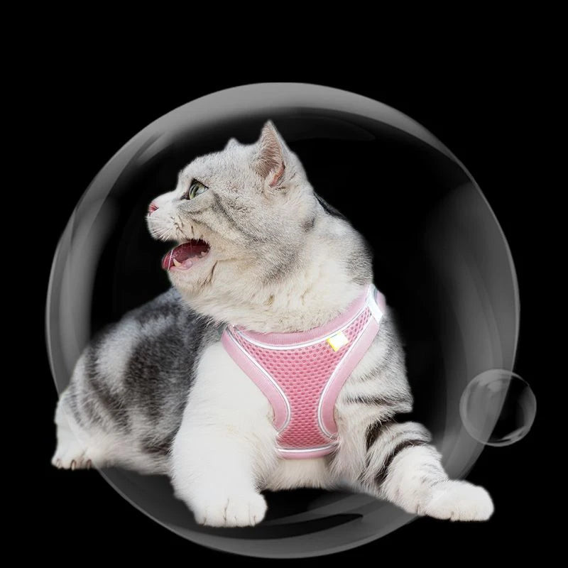 Cat Harness With Leash - EasyDailyLife