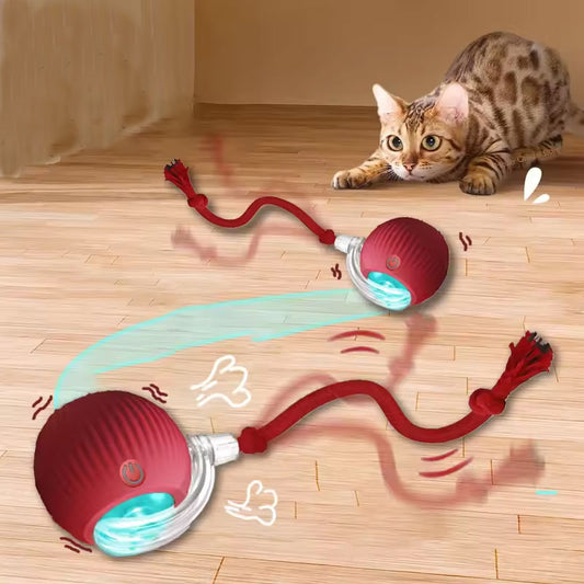 Smart Rechargeable Cat Toy – Rolling Ball with Tail - EasyDailyLife