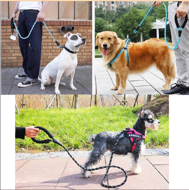 Premium Quality Nylon Reflective Leash (1.5 Meter) - EasyDailyLife
