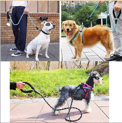 Premium Quality Nylon Reflective Leash (1.5 Meter) - EasyDailyLife