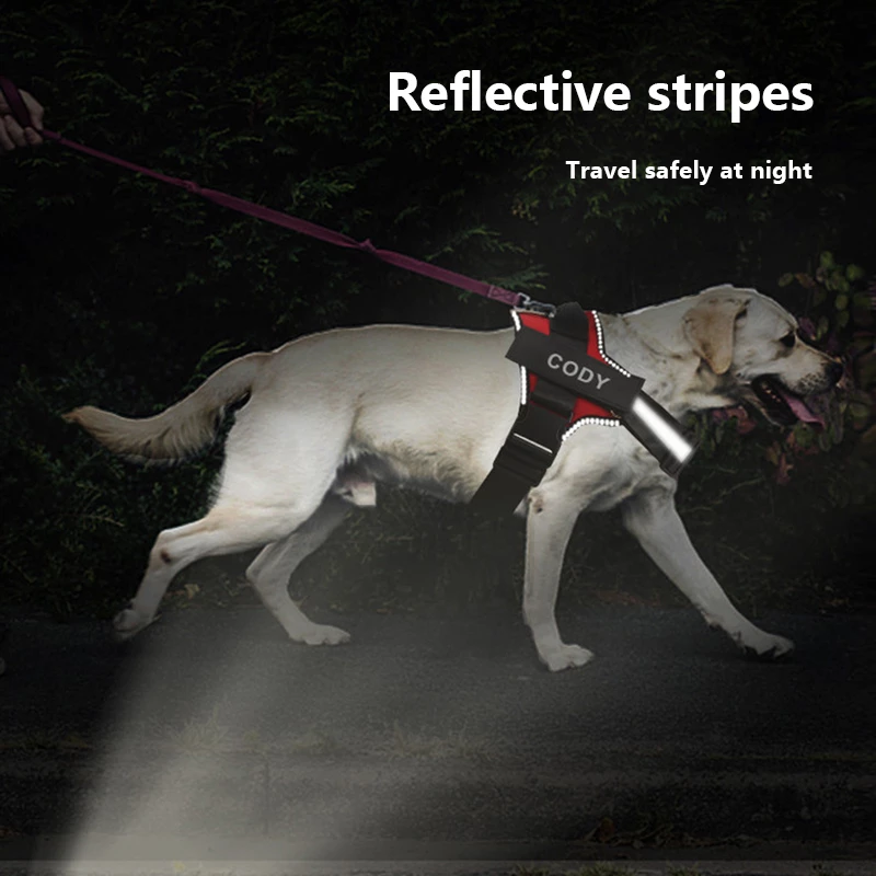 Personalized No Pull Dog Harness - EasyDailyLife