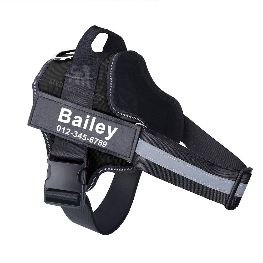 Personalized No Pull Dog Harness (FREE TODAY) - EasyDailyLife
