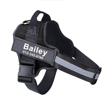 Personalized No Pull Dog Harness (FREE TODAY) - EasyDailyLife