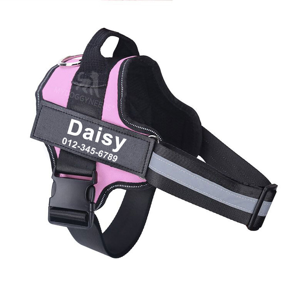 Personalized No Pull Dog Harness (FREE TODAY) - EasyDailyLife