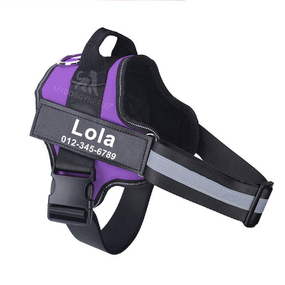 Personalized No Pull Dog Harness (FREE TODAY) - EasyDailyLife
