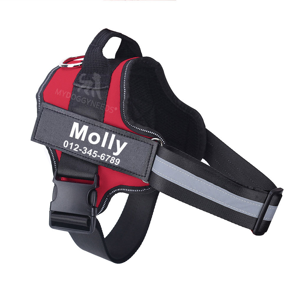 Personalized No Pull Dog Harness (FREE TODAY) - EasyDailyLife