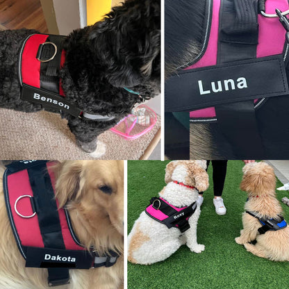 Personalized No Pull Dog Harness + FREE Leash Today
